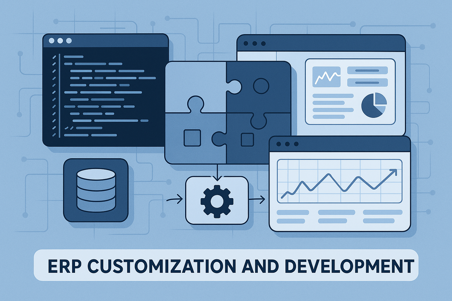 ERP Customization & Development